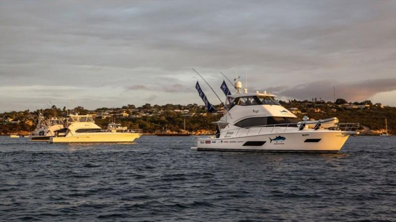 Port Lincoln Tuna Classic - photo © Riviera Australia