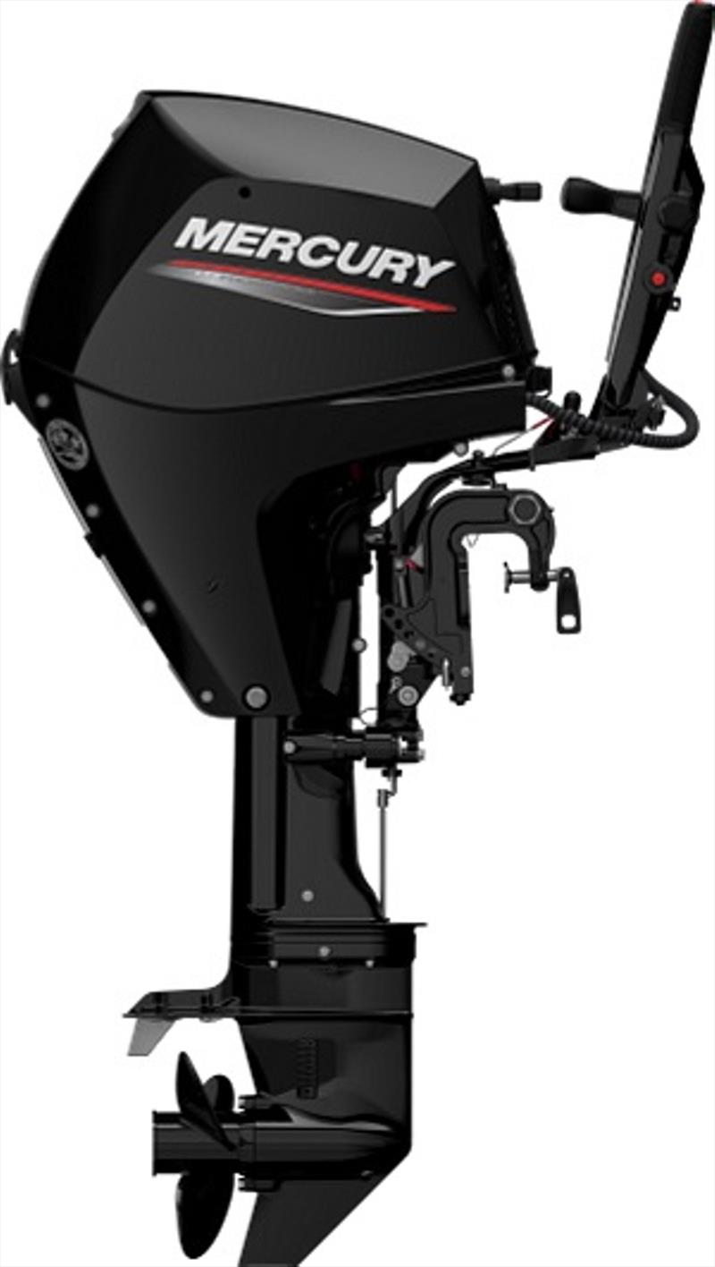 25hp FourStroke Outboard Engine photo copyright Tiller Studio Photography taken at  and featuring the Power boat class