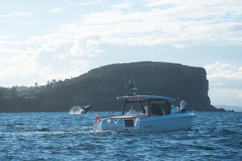 Axopar 22 Eyachts, Australia and New Zealand - photo © eyachts.com.au