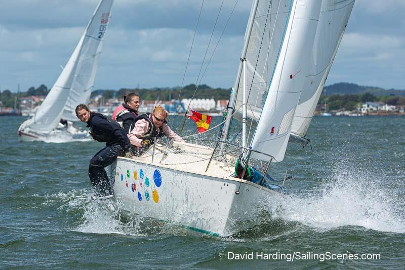 2024 International Paint Poole Regatta Day 2 photo copyright David Harding / www.sailingscenes.com taken at Parkstone Yacht Club and featuring the R19 class