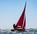 National Redwing Championship at Tenby © Alistair Mackay