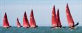 National Redwing Championship at Tenby © Alistair Mackay