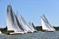 Racer River Cruiser fleet - Barton Regatta © Trish Barnes
