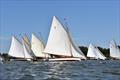 Classic River Cruiser fleet - Barton Regatta © Trish Barnes