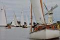 Autumn Passage Race at Horning © Holly Hancock