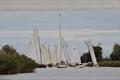 Autumn Passage Race at Horning © Holly Hancock