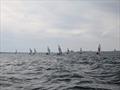 Netley Sailing Club RS200 Club Championship © Mark Cockrill