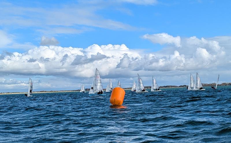 RS200 Sandy Shell at HISC - photo © Debbie Jarvis