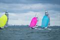 Windy run with Belfast Harbour and Goliath in the distance - RS Spring Shakedown at Carrickfergus © Ryan Wilson