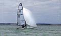 Performance Dinghy winning RS700 at Mersea Week 2024 © Chrissie Westgate