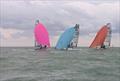 Noble Marine RS800 Nationals 2025 at Eastbourne © ESSC