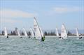 RS Aero Australian National Championship 2023 © Largs Bay Sailing Club