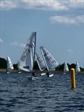 Aero 7s approach leeward mark - 875 is Sammy Isaacs-Johnson - RS Aero Spring Championships at Island Barn © Kate Symons