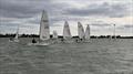 Itchenor SC RS Aero Open © Itchenor SC