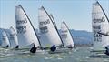 RS Fest 2026 &copy; RS Sailing