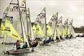 The start of the first of three races for the RS Fevas in the Chichester Harbour Series © Chris Hatton