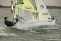 RS Fevas in the Chichester Harbour Series © Chris Hatton