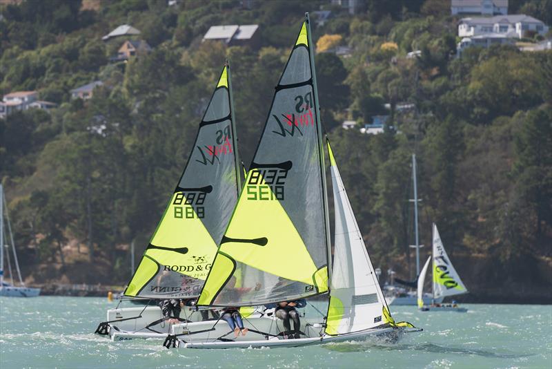 RS Fevas racing in the SailGP Inspire program - Lyttelton - March 22, 2024 - photo © Justin Mitchell