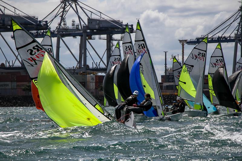 Practice racing - SailGP Inspire- RS Feva - Royal Akarana YC - Jan 16, 2025 - photo © Richard Gladwell/Sail-World.com/nz