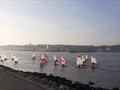 The fleet heading home after a fantastic day at sea during the NEYYSA Coaching at South Shields © NEYYSA