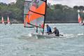 RS Tera Open at Gurnard Sailing Club © Jenny Preston