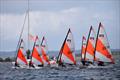 RS Tera and Topper open meeting at Starcross © Peter Solly