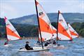RS Tera and Topper open meeting at Starcross © Peter Solly