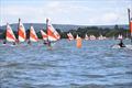 RS Tera and Topper open meeting at Starcross © Peter Solly