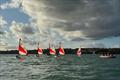 IW Youth and Junior Dinghy Championships Series finale at Brading Haven &copy; Richard Douglas