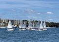 Drummoyne Cup 2025 © Drummoyne Sailing Club