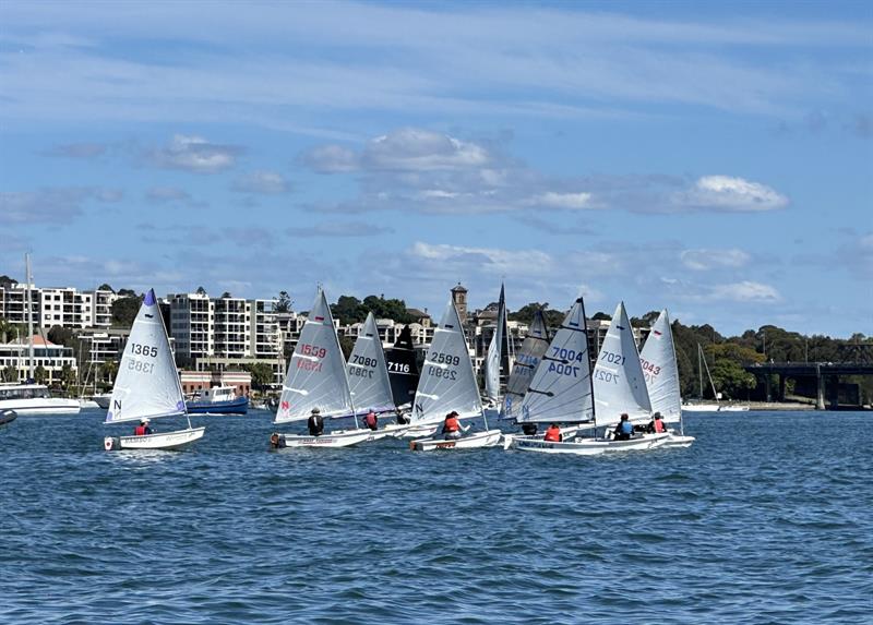 Drummoyne Cup 2025 photo copyright Drummoyne Sailing Club taken at Drummoyne Sailing Club and featuring the Sabot class
