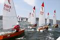 Sabres on the water at the Lindisfarne Sailing Club © Emily Snadden