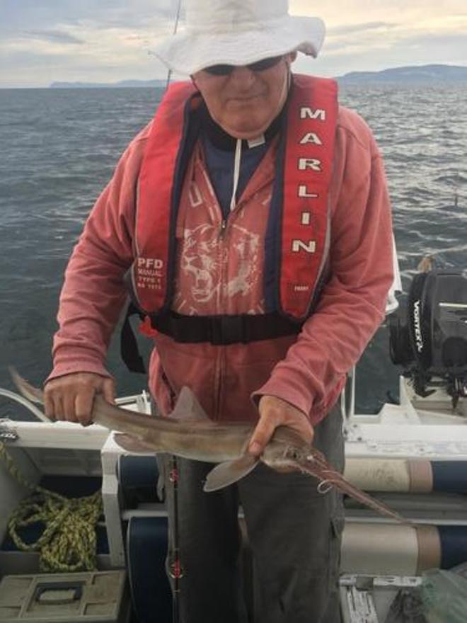 Kerry with a small Swordfish from Eaglehawk Neck area © Carl Hyland
