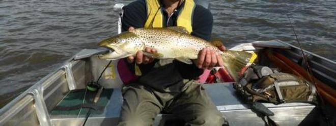Jb's nice brown from Tooms © Carl Hyland