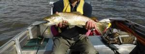 Jb's nice brown from Tooms photo copyright Carl Hyland taken at  and featuring the  class