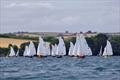 Salcombe Yacht Club Regatta 2025 © Lucy Burn