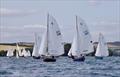 Salcombe Yacht Club Regatta 2025 © Lucy Burn