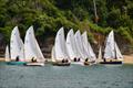 Salcombe Yacht Club Regatta 2025 © Lucy Burn