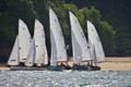 Salcombe Town Regatta Dinghy Racing 2025 © Lucy Burn