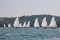 Salcombe Town Regatta Dinghy Racing 2025 © Lucy Burn