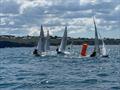 Scorpion Open at Rock Sailing and Waterski Club © Roger Deane
