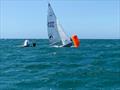 Scorpion Open at Rock Sailing and Waterski Club © Roger Deane