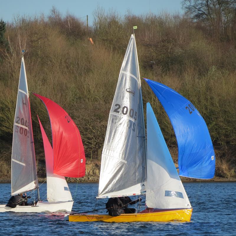 Scorpions at Staunton Harold photo copyright Ann Nugent taken at Staunton Harold Sailing Club and featuring the Scorpion class