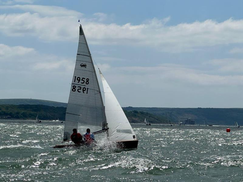 Scorpions at the Lymington Dinghy Regatta photo copyright Adrian Chisnell taken at Lymington Town Sailing Club and featuring the Scorpion class