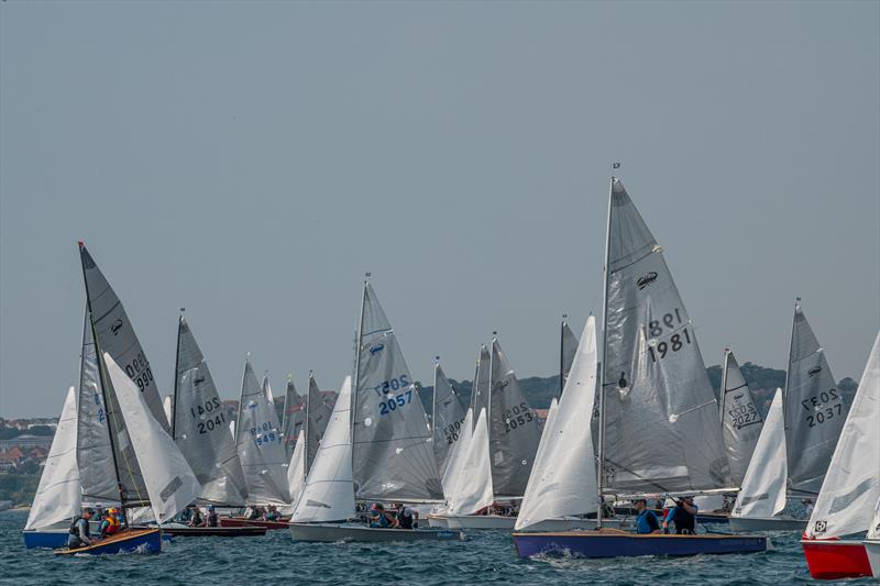 TCL Scorpion Nationals 2024 at Castle Cove Day 5 photo copyright Lee Whitehead / www.photolounge.co.uk taken at Castle Cove Sailing Club and featuring the Scorpion class