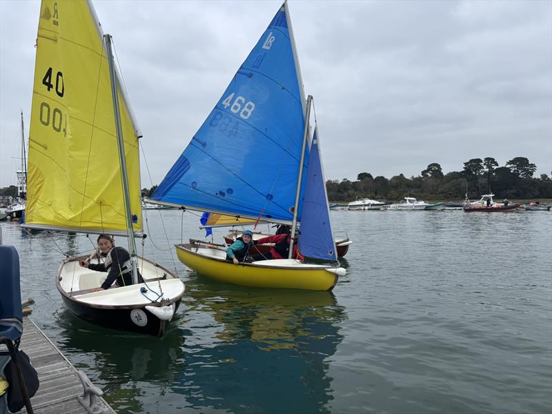 RLymYC Club Champion of Champions 2025 photo copyright Gillian Poole taken at Royal Lymington Yacht Club and featuring the Scow class