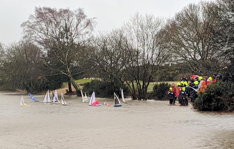 2019 Setley Cup and Seahorse Trophy photo copyright Mark Jardine taken at  and featuring the Setley Cup class