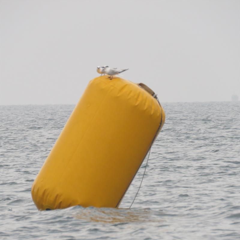 Two Terns around a buoy! British Sharpie Championships at Brancaster Staithe photo copyright James Case  taken at Brancaster Staithe Sailing Club and featuring the Sharpie class