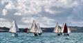 2025 Shrimper Open Championship at Falmouth © Brian Phipps