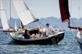 Black Magic, Shrimper, on Monday at the International Paint Poole Regatta 2026 &copy; Paul Wyeth / www.pwpictures.com